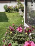 Discover Peace and Tranquility at Bungalow 89 - A True Summer Sanctuary